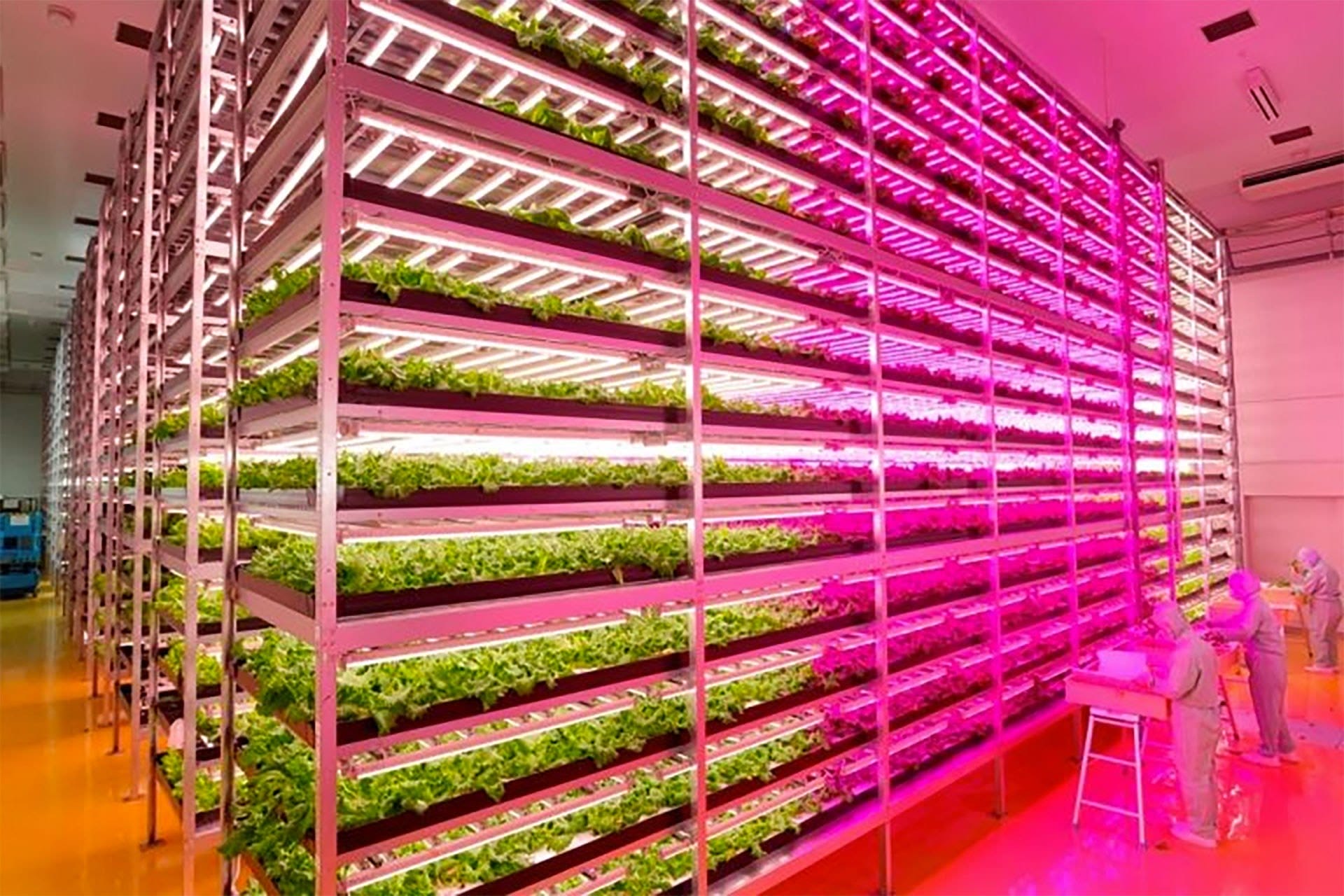 closed-growing-environment closed environment farming