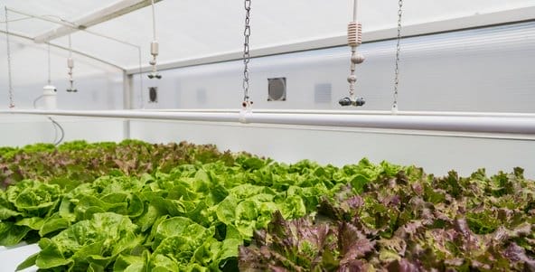 Controlled Growing Environments - Greenix Panel System